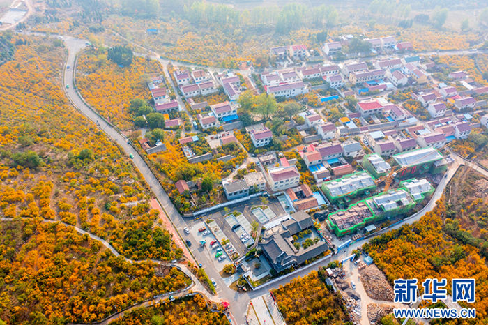 近日航拍的淮北市烈山区乡村美景。王文 摄