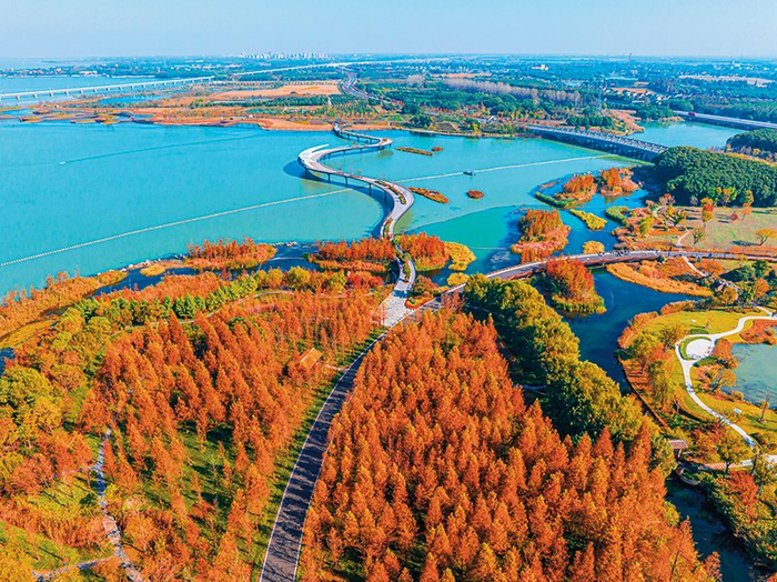 位于沪苏交界的元荡慢行桥（2023 年 12 月 6 日摄）苏州市吴江区委宣传部供图