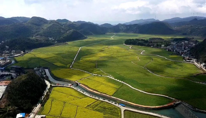 杨梅山镇平和洞片区，大面积连片农田蔚为壮观。