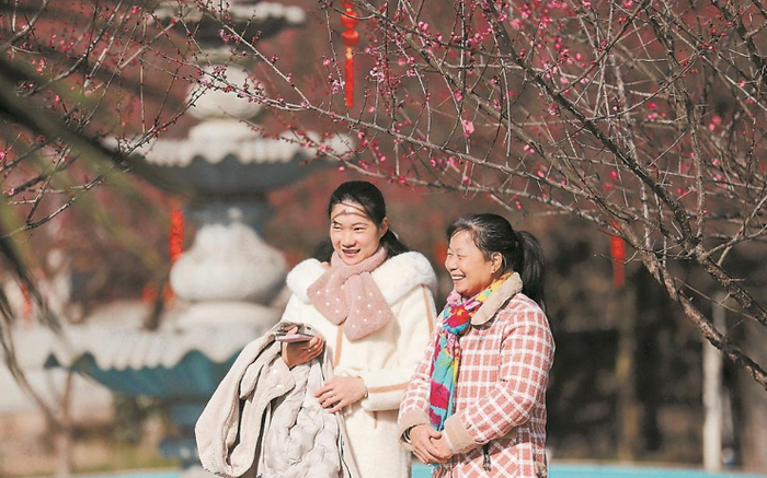 梅花盛开的梅洋村，成为远近闻名的赏梅胜地，八方游客络绎不绝。（资料图片）