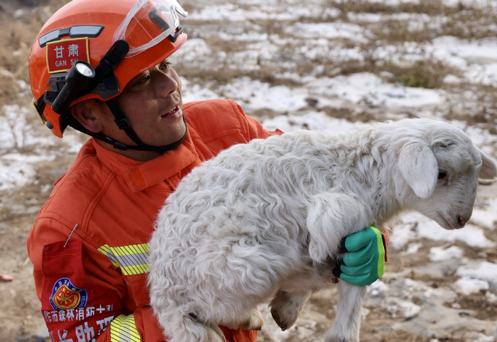 12月20日，甘肃临夏积石山县石塬镇石塬村，甘肃省森林消防总队合作大队的指战员为村民转运羊羔。中国日报记者 魏晓昊 摄