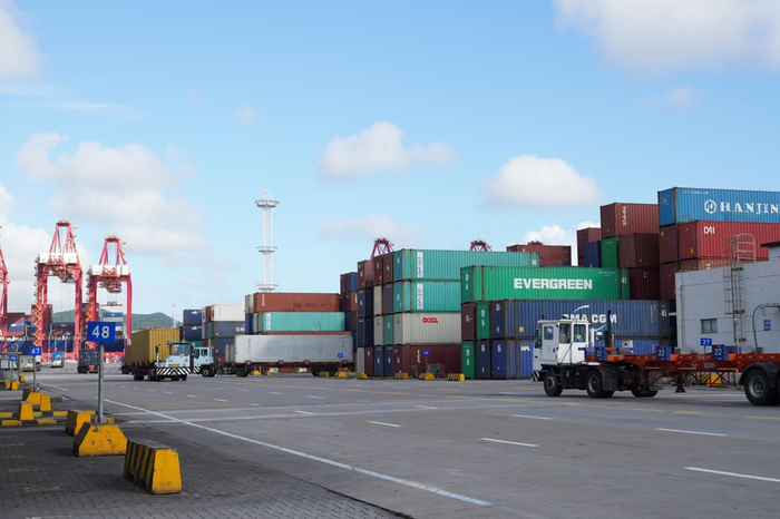 忙碌中的宁波舟山港 海外网 谢明/摄