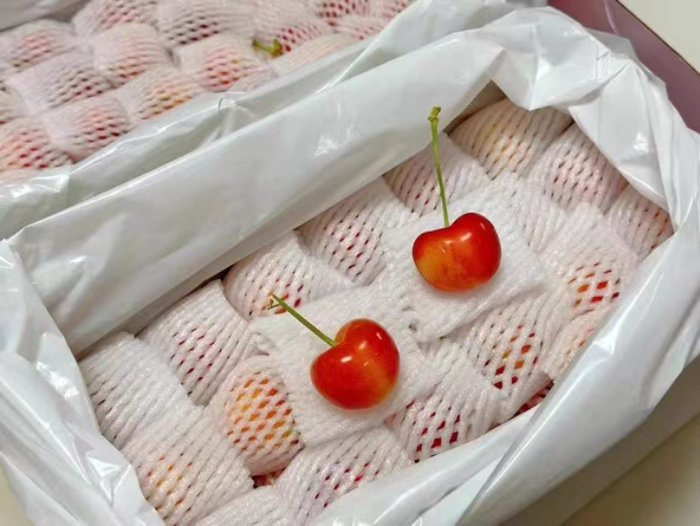 客服表示，每一颗金车厘子都有网套保护。网络图