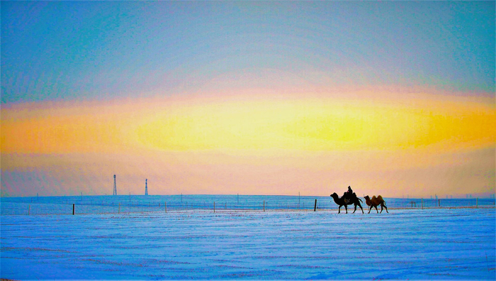 橘色的阳光挥洒而下，伴着驼铃，牧人缓缓行走在浑厚的雪原之上。李新军 摄