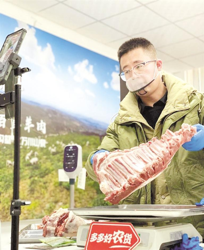     甘肃省环县的养殖户借力拼多多等电商平台，将山羊销往大山外。   郝曼 摄