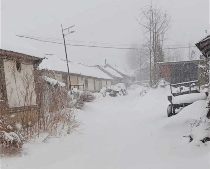 12月21日，“雪窝”烟台冷流雪还在继续