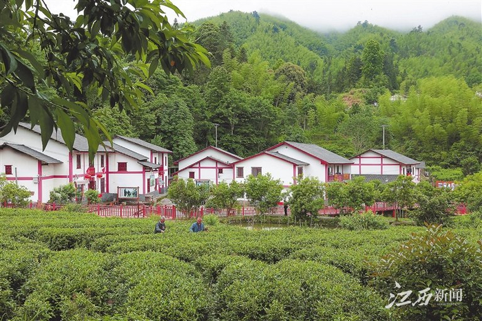 风光旖旎的神山村.摄影丨江西日报全媒体记者洪子波