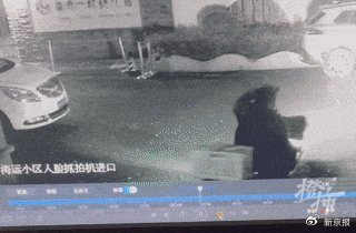 监控里大白被抓