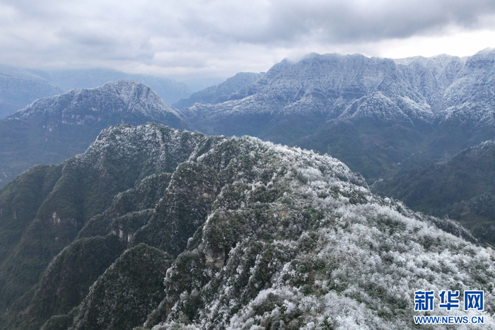 降雪后,云南省昭通市大关县笔架山银装素裹(12月18日摄).