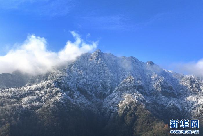 降雪後的雲南省昭通市大關縣筆架山,樹木披上