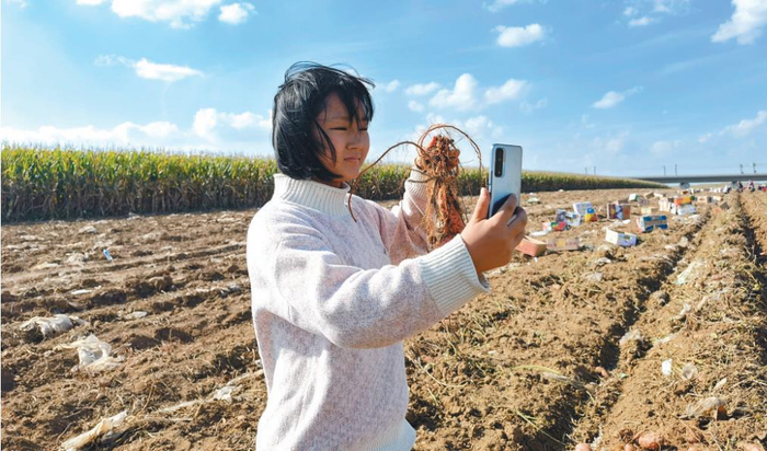　　赵铁蛋在田间与网友分享丰收的喜悦。