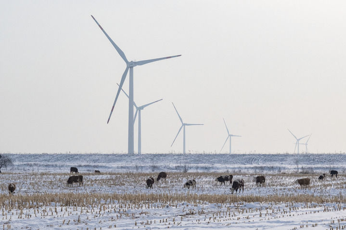 2023年11月16日拍摄的位于黑龙江省鹤岗市绥滨县的一处风电场的风机。新华社记者 谢剑飞 摄