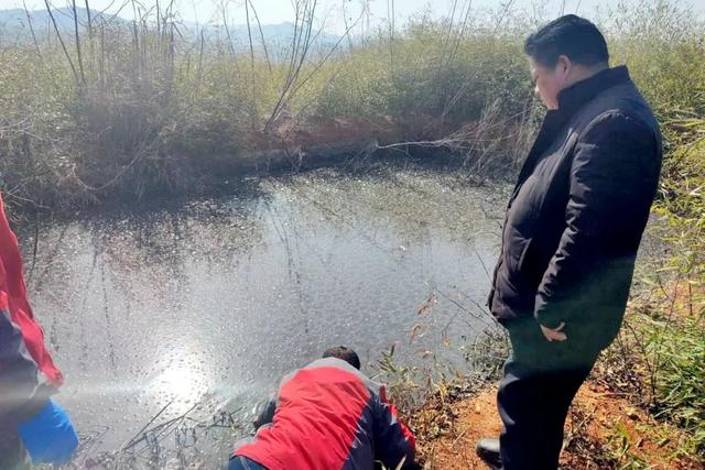 对污水坑中的水进行采样监测