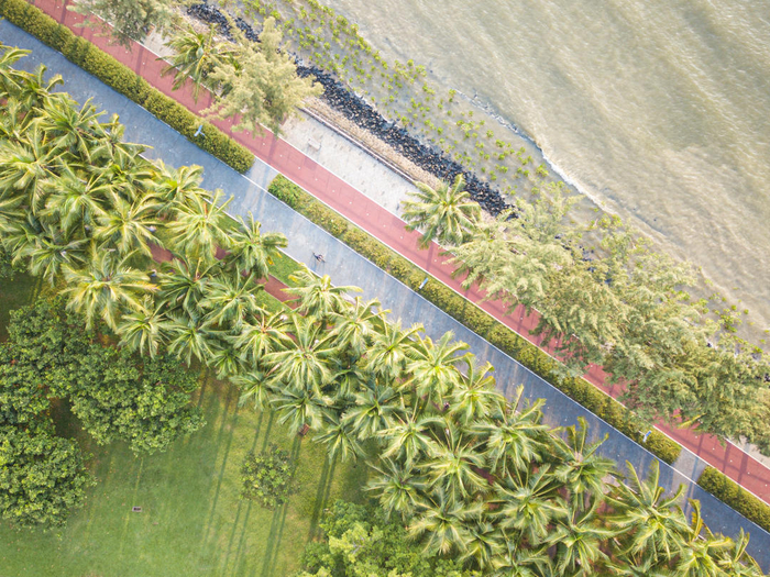 ▲海南省海口市海口湾。图据新华社