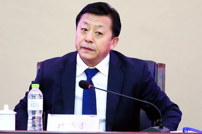 中国足协原党委文告杜兆才 图/视觉中国