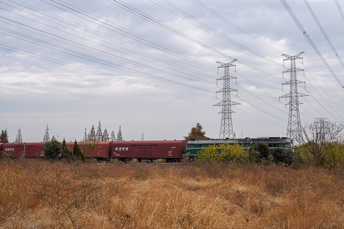 杂草地边缘，货运列车驶过。澎湃新闻记者 陈悦 图