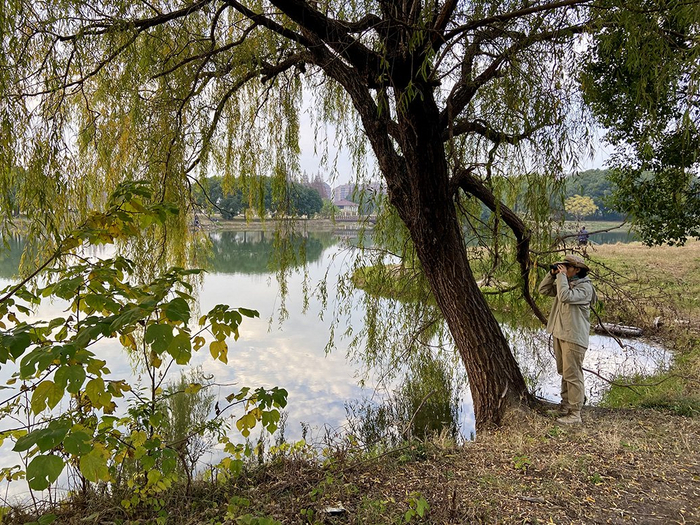 周颖琪在湖边搜寻鸟的身影。澎湃新闻记者 陈悦 图