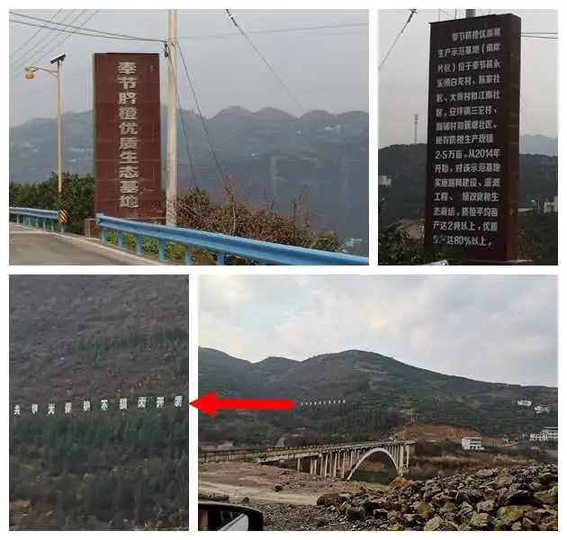 这里有着严格的栽培、灌溉、保护条例