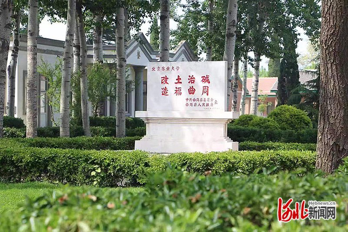 在中国农业大学曲周实验站院里，有一块刻着“改土治碱 造福曲周”的石碑。 中国农业大学曲周实验站供图