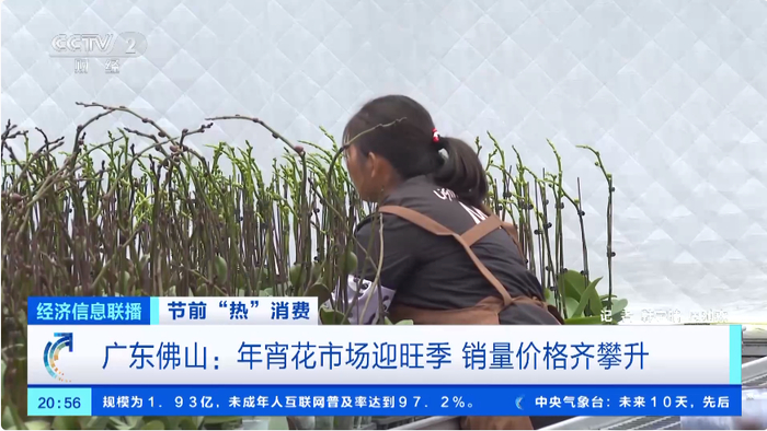 图片来源：视频截图