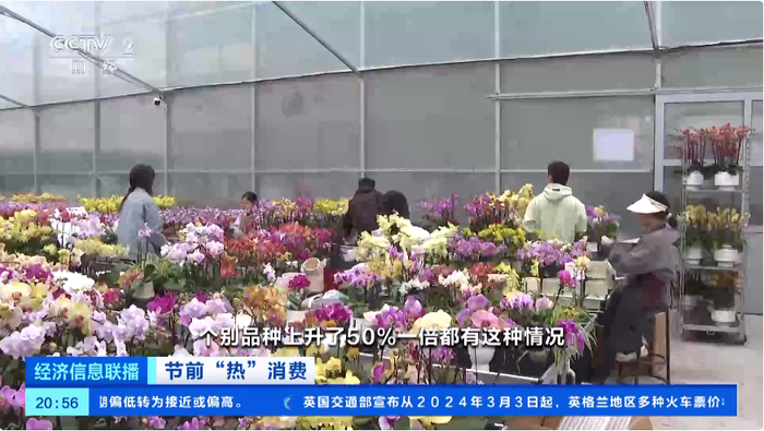 图片来源：视频截图