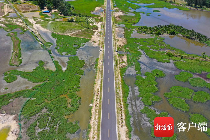 海南环岛旅游公路乐东段景色.通讯员 麦志宏 摄