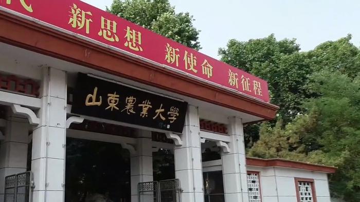 图片起首:山东农业大学官网