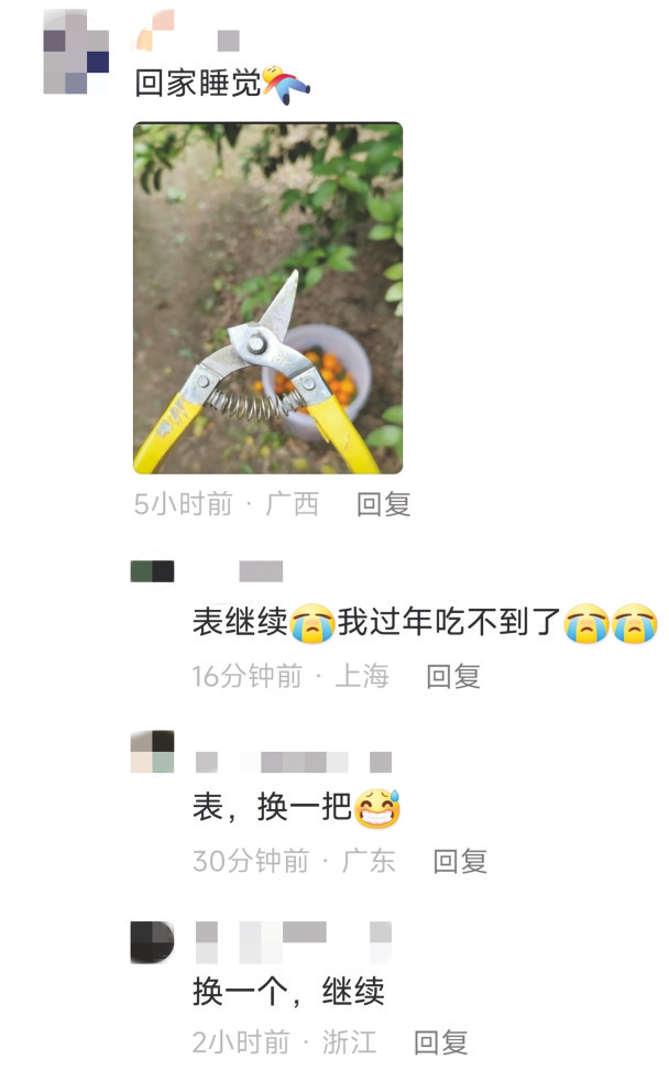     网络平台上，各地网友“催发货”    （网络截图）