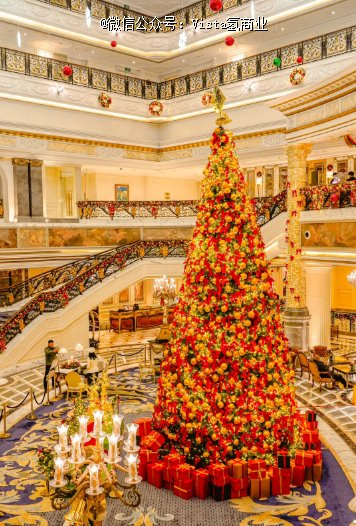 图源小红书@武林～