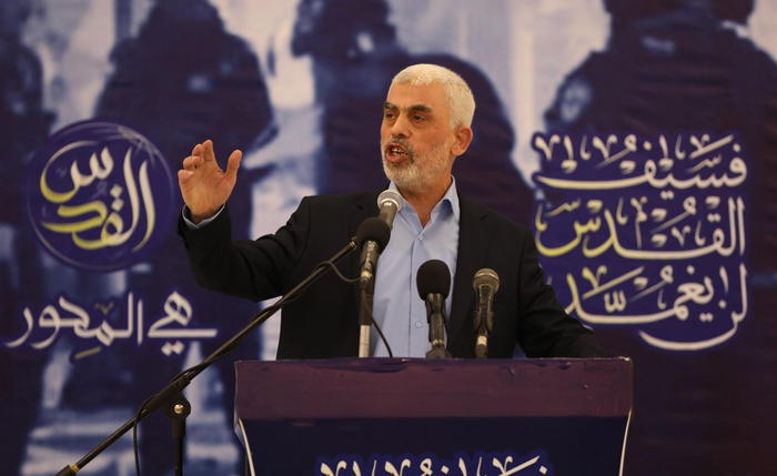 ����˹��ɳ�ش��쵼��Ҷ���ǡ����߶�/����Ӱ��