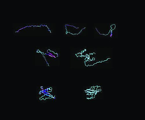 设计蛋白质生物材料的可视化示例。