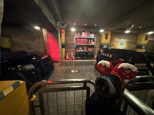 事发前，乐乐戴着迪士尼圣诞限定款发箍在“热力追踪”项目处排队。图源：受访者