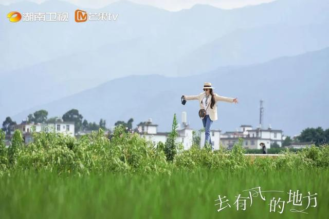 △图源 电视剧《去有风的地方》官方微博