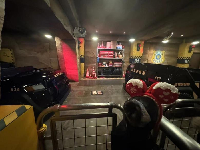 图说：事发前，乐乐戴着迪士尼圣诞限定款发箍在“热力追踪”项目处排队。 图源：受访者