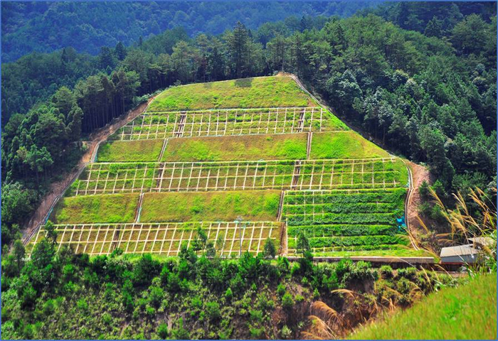 银锭钾矿区A标段上水汀遗留边坡工程措施治理前后对比照片