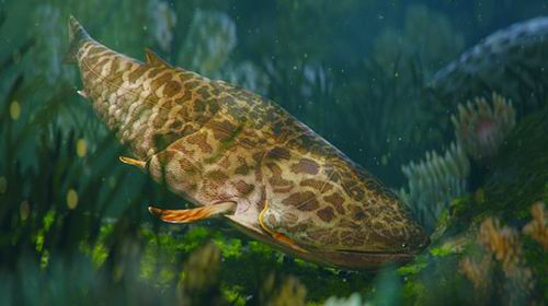 初始全颌鱼生活复原图。拟石科技制图