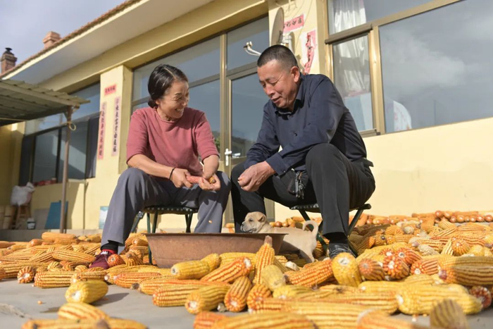 村民白俊芳家的庭院干净整洁。