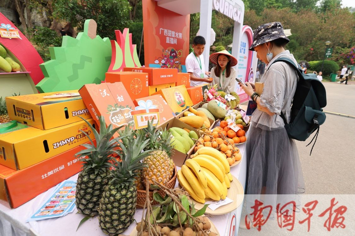 在广西的绿水青山里，丰富多样的水果绝对是一道耀眼的风景。记者 邹财麟 摄