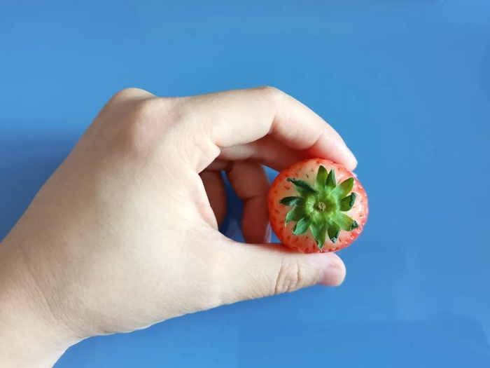 图：草莓蒂 图片来源：作者拍摄