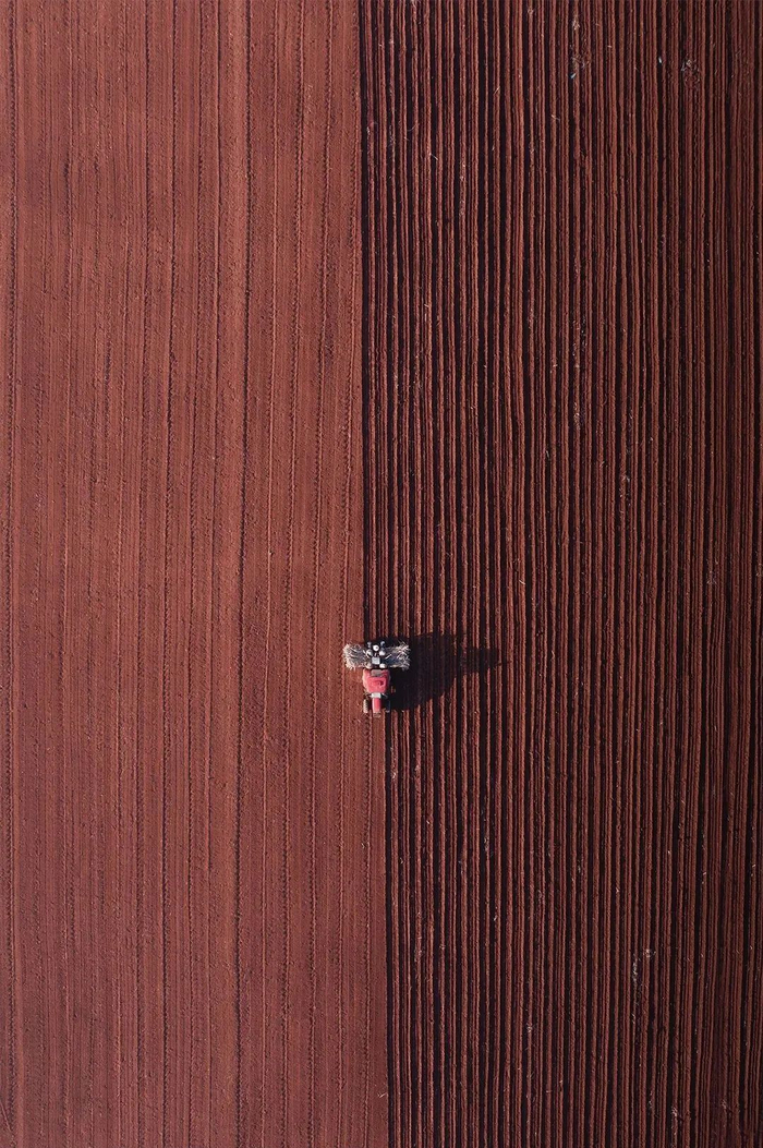 |耕地面积的增长，加上土地肥沃和先进的耕作技术，使得东北逐渐成为我国重要的粮食生产地和商品粮基地。图源/视觉中国