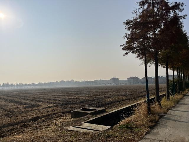 收割完的稻田。 吴越 摄