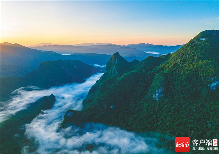 　　海南热带雨林国家公园霸王岭片区。 海南日报记者 李天平 摄