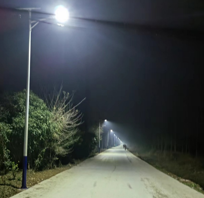 （图片由沙先生提供）