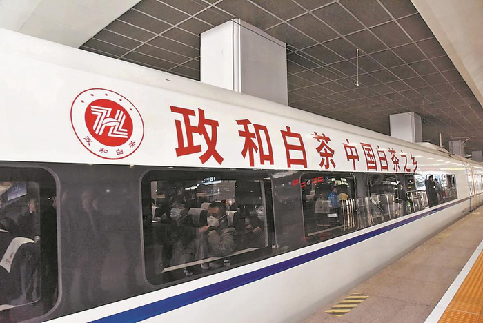 2023年2月26日，“政和白茶”高铁冠名列车在上海虹桥高铁站首发。（资料图片） 阮倩敏 摄