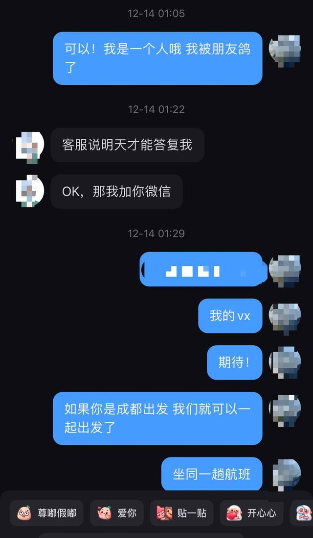 豆豆提供的与“旅游搭子”的聊天截图