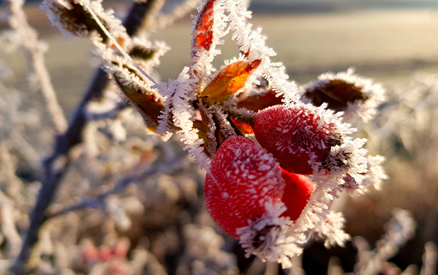 来源：视觉中国