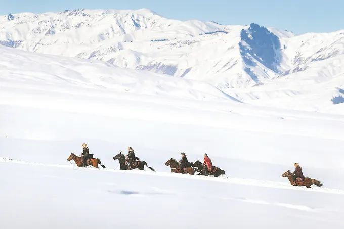 新源县那拉提景区，马队正在进行表演。万程鹏 摄