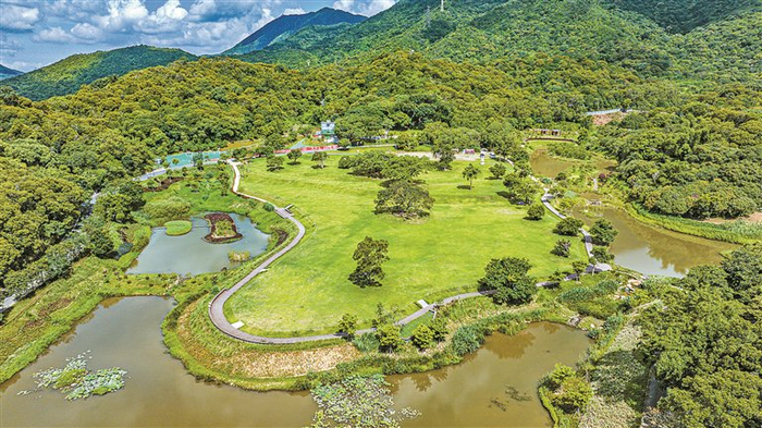 盐田区恩上湿地公园。 深圳晚报记者 宁杰文 摄