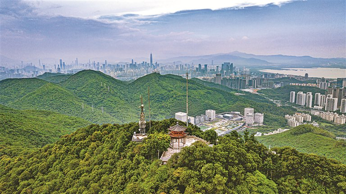 深圳南山区塘朗山俯瞰城市山海连城。 深圳晚报记者 宁杰文 摄