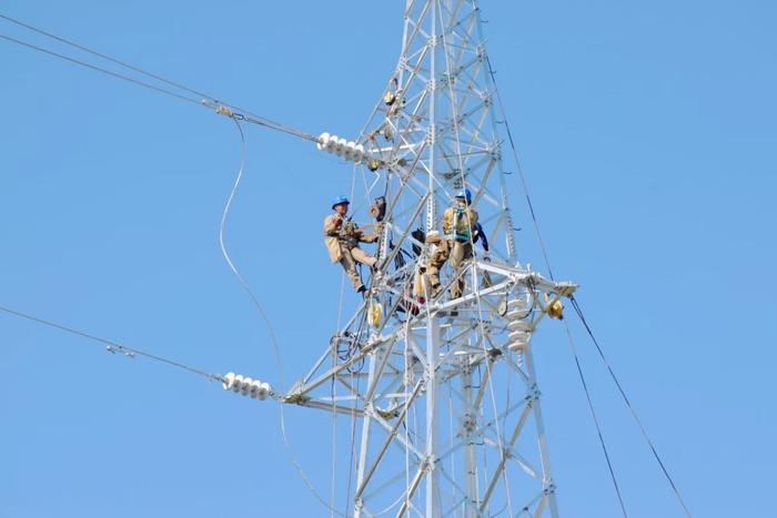 国网宁德供电公司组织施工人员抓紧电网建设。 郑瑞振 摄